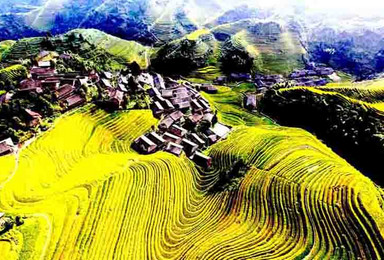 醉美金色稻浪龙脊梯田摄影之地 探寻黄姚古镇灯笼节(3日行程) 醉美金色稻浪龙脊梯田摄影之地 探寻黄姚古镇灯笼节(3日行程)