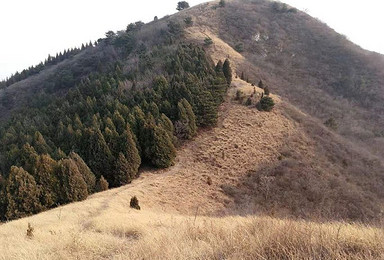 狐狸峪|穿越漫山遍野金黄草甸 感受大自然的气息(1日行程) 狐狸峪|穿越漫山遍野金黄草甸 感受大自然的气息(1日行程)