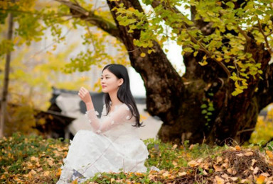广西海洋乡-银杏秋天童话、丹霞之魂八角寨、仙境日出云海(3日行程) 广西海洋乡-银杏秋天童话、丹霞之魂八角寨、仙境日出云海(3日行程)