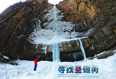 冬韵太行山B线网红圣诞树 红旗渠 太行天路 阱底村 挂壁公路(4日行程) 冬韵太行山B线网红圣诞树 红旗渠 太行天路 阱底村 挂壁公路(4日行程)