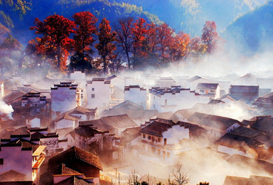 周五下班出发·落地自驾—婺源篁岭、瑶里古镇画里山乡亮彩秋色(4日行程) 周五下班出发·落地自驾—婺源篁岭、瑶里古镇画里山乡亮彩秋色(4日行程)