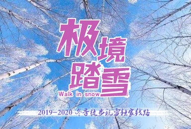 独家线路不一样的玩法带你入梦 雪乡 望天鹅（7日行程）