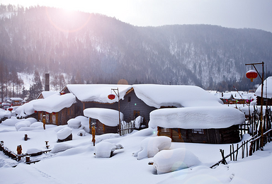 冰雪盛宴 盛装启幕 看美丽冬景 来黑龙江旅行 3天行程（3日行程）