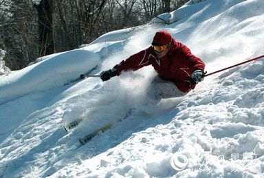 漠河冬季原生态换线 找北、滑雪自由行 轻徒步穿越原始白桦林（3日行程）