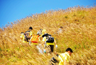 登白云嶂千米高山 慢赏漫山的芦苇荡 登山初级（1日行程）