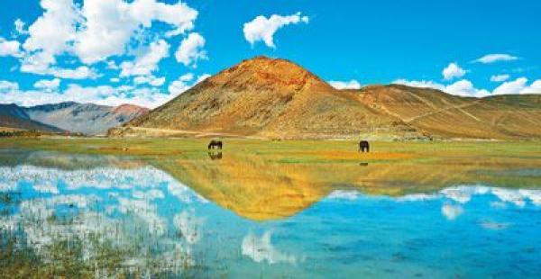 西藏珠峰大本营 奇林峡 羊湖 卡若拉冰川 扎什伦布寺纯玩（4日行程）