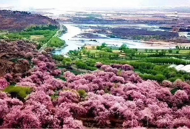 寻找桃花源 穿越丙察察 一起相约林芝桃花(11日行程) 寻找桃花源 穿越丙察察 一起相约林芝桃花(11日行程)