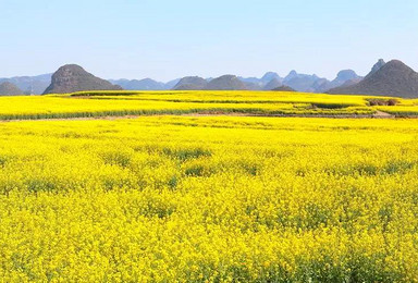 春节徒步 | 初三马岭河峡谷25公里徒步+罗平油菜花海（2日行程）