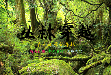 2020至2021年哀牢山 徒步穿越 原始森林(6日行程) 2020至2021年哀牢山 徒步穿越 原始森林(6日行程)