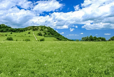 百花山 漫山鲜花-无边草甸-长长栈道-缭绕云雾 休闲摄影游(1日行程)