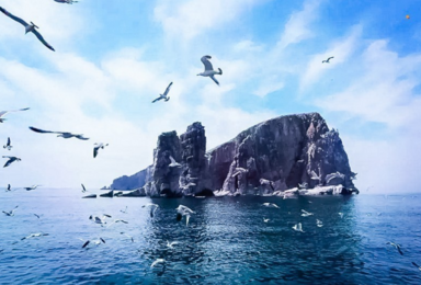 海上仙山长岛 蓬莱 万鸟岛 候叽岛 庙岛海豹苑 月亮湾海岛游(4日行程) 海上仙山长岛 蓬莱 万鸟岛 候叽岛 庙岛海豹苑 月亮湾海岛游(4日行程)