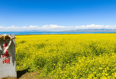 青海湖茶卡盐湖莫高窟鸣沙山月牙泉嘉峪关张掖丹霞祁连草原卓尔山(8日行程) 青海湖茶卡盐湖莫高窟鸣沙山月牙泉嘉峪关张掖丹霞祁连草原卓尔山(8日行程)