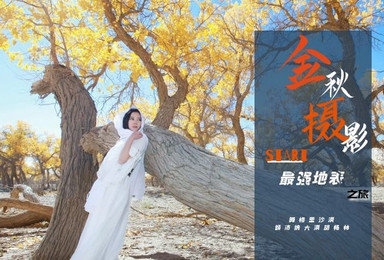 丨金秋摄影丨腾格里沙漠 金秋额济纳胡杨 黑城 怪树林深度旅行(7日行程) 丨金秋摄影丨腾格里沙漠 金秋额济纳胡杨 黑城 怪树林深度旅行(7日行程)