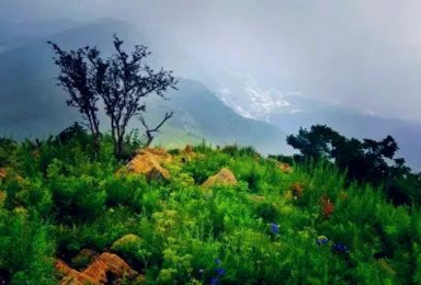 百瑞谷 穿越侏罗纪-山水自然-生态优美-国家AAAA景区打造(1日行程)
