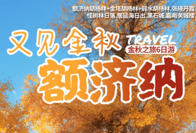 胡杨林 张掖丹霞 怪树林 居延海 嘉峪关城楼(6日行程)