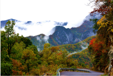 湖北神农架 -探寻野人踪迹-神农架全景-武当山-三峡人家(7日行程) 湖北神农架 -探寻野人踪迹-神农架全景-武当山-三峡人家(7日行程)