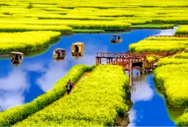 清明 江南苏州拙政园 无锡太湖 同里周庄 兴化 水上森林(3日行程) 清明 江南苏州拙政园 无锡太湖 同里周庄 兴化 水上森林(3日行程)