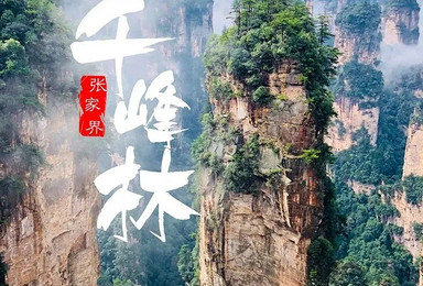 端午|纯玩张家界 湘西秘境|武陵源+金鞭溪+天子山+袁家界(3日行程) 端午|纯玩张家界 湘西秘境|武陵源+金鞭溪+天子山+袁家界(3日行程)
