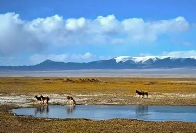 丝绸之路 可可西里 青海湖 莫高窟 张掖丹霞 卓尔山 门源(10日行程) 丝绸之路 可可西里 青海湖 莫高窟 张掖丹霞 卓尔山 门源(10日行程)