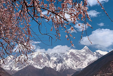  Tibet Spring Bingchacha cross-country vehicle goes to Tibet to meet Linzhi Taohua (10 day trip)