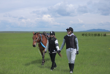 呼伦贝尔帐篷露营 野餐 旅拍 6天5晚小众旅行 独立小包团(6日行程) 呼伦贝尔帐篷露营 野餐 旅拍 6天5晚小众旅行 独立小包团(6日行程)