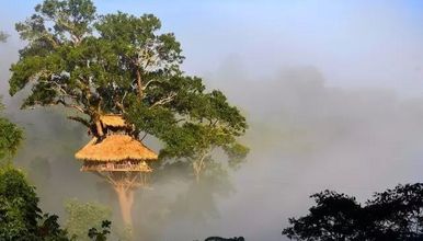 老挝 树屋 溜索 漂流 徒步（7日行程）