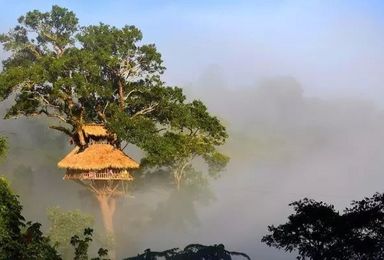 老挝 树屋 溜索 漂流 徒步（7日行程）