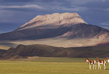 新藏线 从山南到喀什地区漫长边境线的终极巡礼（16日行程）