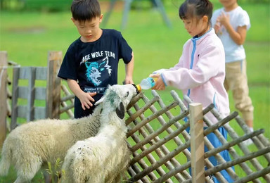 呼伦贝尔草原夏令营 最省心 且 最轻松 的7天6晚亲子游（7日行程）