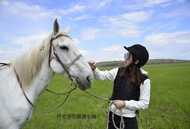 呼伦贝尔草原野餐露营 漫游草原森林 全境7天6晚独立小包团（7日行程）