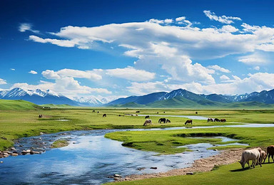  Xinjiang Mid summer Ili Photography Group Sayram Lake Qiaxi Grassland Qiongkushi Taiduku Highway (9 days' trip)