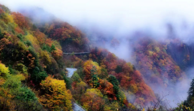 秋醉神农 | 遇见七彩斑斓之秋，神农全景山野万里（4日行程）