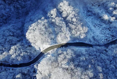 宜昌 神农架 滑雪 天燕景区 神农顶 官门山（4日行程）