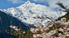 梅里雪山-雨崩徒步 飞来寺日照金山+雨崩+神瀑+冰湖（5日行程）