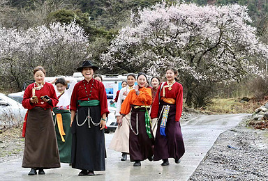 独家路线！西藏春天 滇藏线，藏东冰川 秘境尼屋 林芝桃花进藏（10日行程）