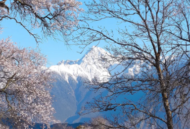 川藏线 G317 G318 林芝桃花 金川梨花 色达 然乌湖（11日行程）