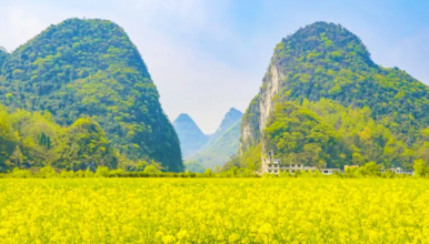 贵阳 天龙屯堡 龙宫 龙字田油菜花 寻龙探洞 平坝樱花（4日行程）