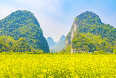 贵阳 天龙屯堡 龙宫 龙字田油菜花 寻龙探洞 平坝樱花（4日行程）