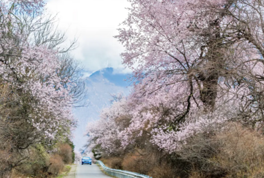 林芝桃花+藏东冰川环线精品越野小团（8日行程）