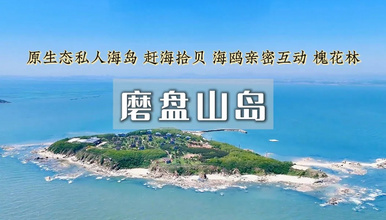 周末 磨盘山岛 私人岛屿 海边露营 赶海捡海螺 抓螃蟹（2日行程）