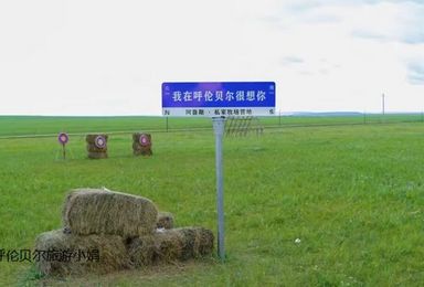 呼伦贝尔一日游丨漫游草原 越野车穿越 独家帐篷营地野餐一日游（1日行程）