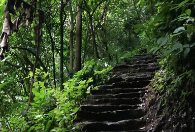 秘境高黎贡山 徒步百花岭 重走远征军之路 六日深度游（6日行程）