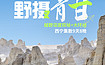 [野摄青甘]青海与甘肃超级大环线，深度游览海西各网红打卡地（9日行程）