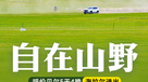 自在山野·海拉尔+满洲里丨越野穿越呼伦贝尔草原腹地（5日行程）