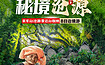 边境临沧秘境沧源 || 云南小众线路，发烧友的心中挚爱（8日行程）