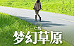 梦幻草原C线丨全程SUV穿越呼伦贝尔腹地，邂逅小众秘境（7日行程）
