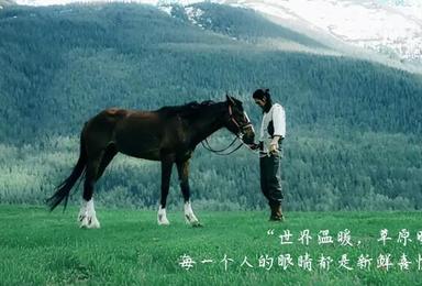 喀纳斯小环线（8日行程）