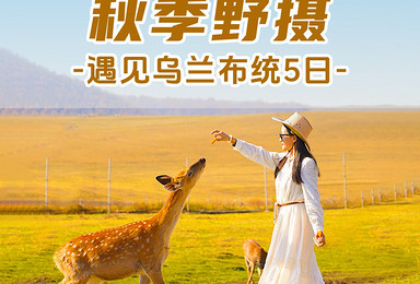 乌兰布统秋季野摄 丨北京+塞罕坝+乌兰布统+丰宁坝上草原（5日行程）