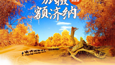 旅摄额济纳 高铁线丨丝绸之路 额济纳双重惊喜（8日行程）