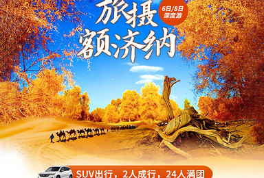旅摄额济纳 高铁线丨丝绸之路 额济纳双重惊喜（8日行程）